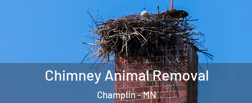  Chimney Animal Removal Champlin - MN