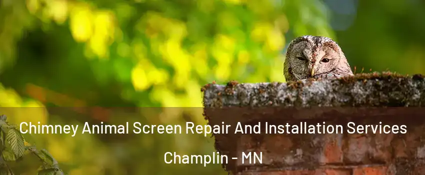  Chimney Animal Screen Repair And Installation Services Champlin - MN