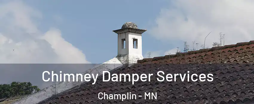 Chimney Damper Services Champlin - MN