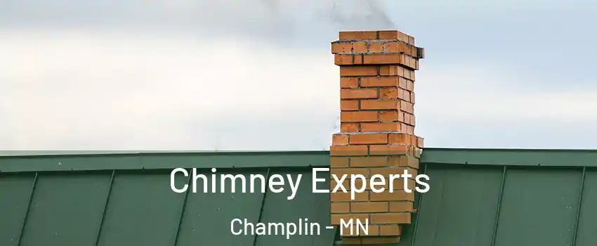  Chimney Experts Champlin - MN