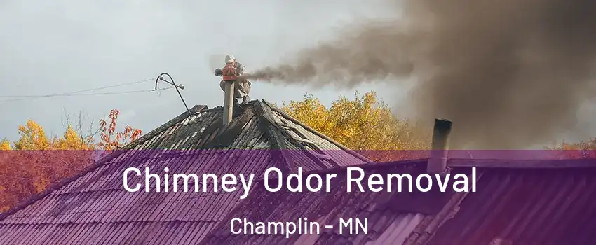  Chimney Odor Removal Champlin - MN