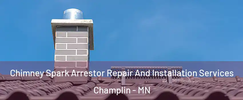  Chimney Spark Arrestor Repair And Installation Services Champlin - MN