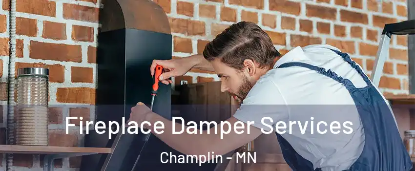  Fireplace Damper Services Champlin - MN