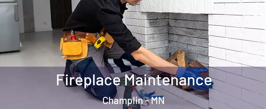  Fireplace Maintenance Champlin - MN