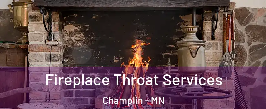  Fireplace Throat Services Champlin - MN