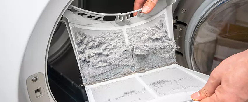 Best Dryer Lint Removal Company in Champlin, Minnesota