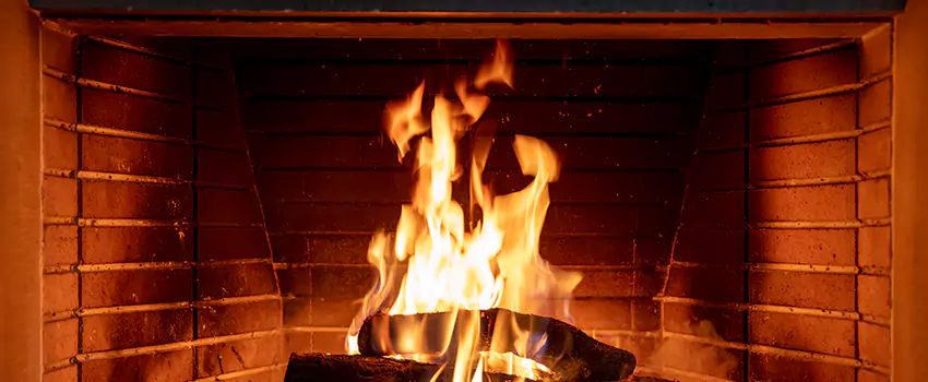 Soot Cleanup Services in Champlin, MN