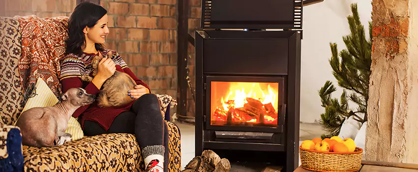 Wood Stove Chimney Cleaning Services in Champlin, MN