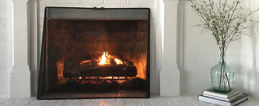 Cost-Effective Fireplace Mantel Inspection And Maintenance in Champlin, MN