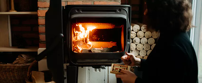 Hearthstone Wood Stoves Fireplace Repair in Champlin, Minnesota
