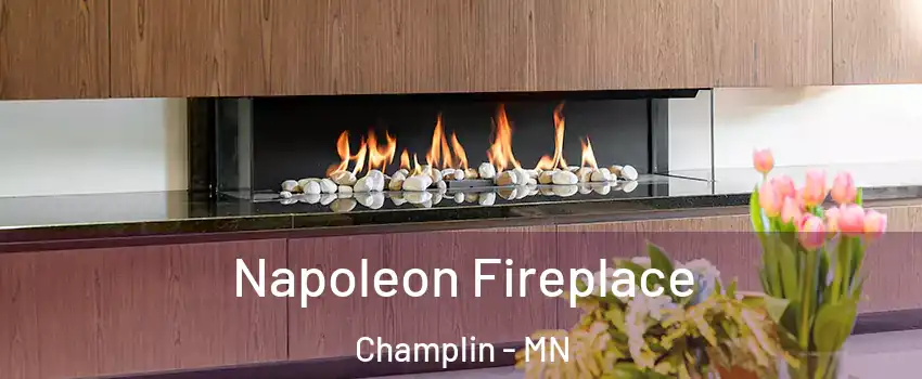  Napoleon Fireplace Champlin - MN