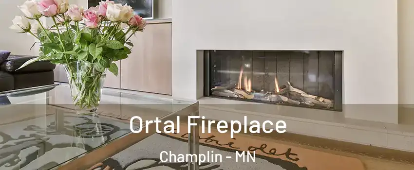  Ortal Fireplace Champlin - MN
